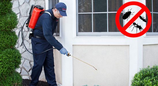 Kızılırmak Akrep İlaçlama böcek ilaçlama ve haşere kontrolü — ilaclama-tr.com